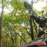 初秋の木漏れ日とバイク