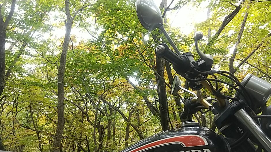 初秋の木漏れ日とバイク